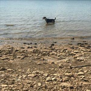 Meet your Posher, Jack